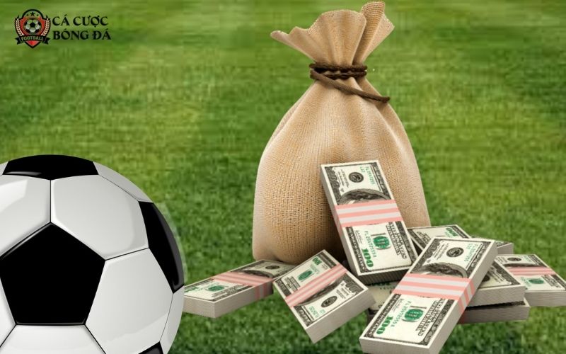 Mẹo Cược 8Xbet: Bí Quyết Giúp Bạn Nâng Cao Tỷ Lệ Thắng 3 Bỏ túi nhanh chóng các mẹo cược 8Xbet hiệu quả