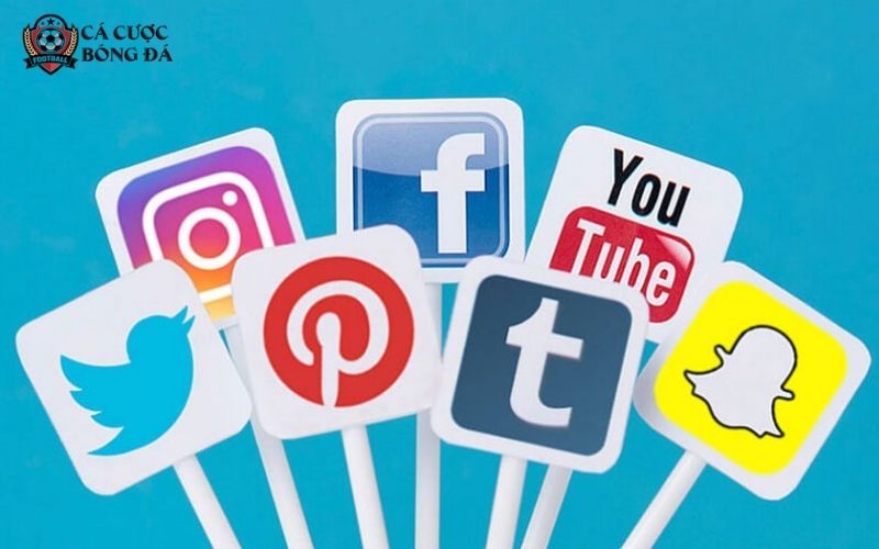 Liên lạc qua các kênh mạng xã hội như Telegram, Zalo, Twitter